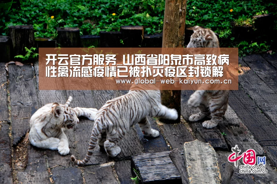 开云官方服务_山西省阳泉市高致病性禽流感疫情已被扑灭疫区封锁解除(图4) 开云体育首页