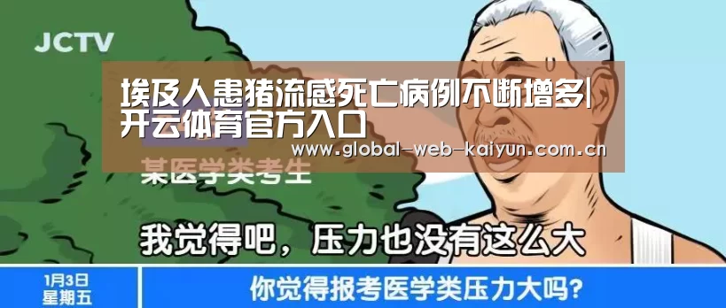 开云官方服务
