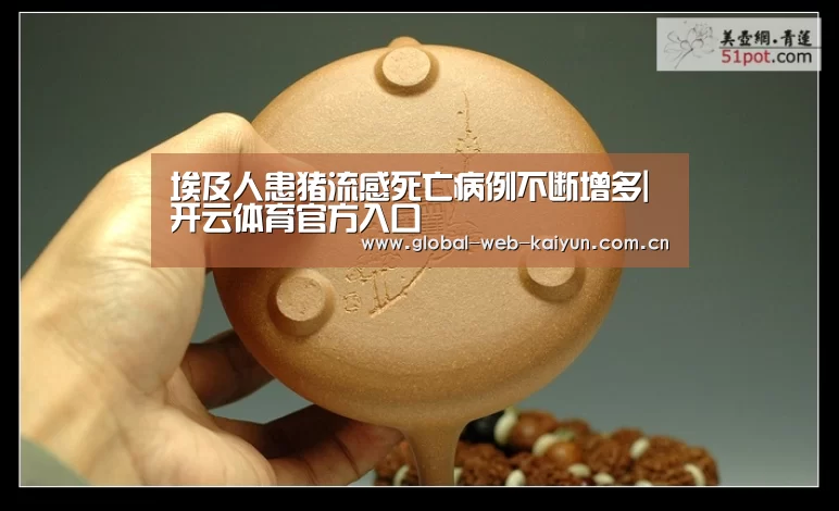 开云体育官方入口
