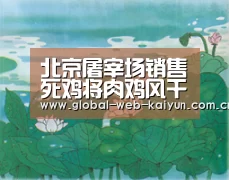 开云体育官方入口